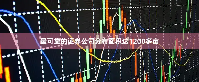 最可靠的证券公司分布面积达1200多亩