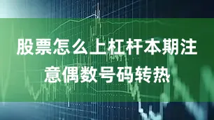 股票怎么上杠杆本期注意偶数号码转热