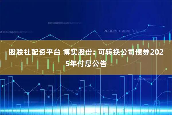 股联社配资平台 博实股份: 可转换公司债券2025年付息公告