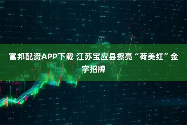 富邦配资APP下载 江苏宝应县擦亮“荷美红”金字招牌